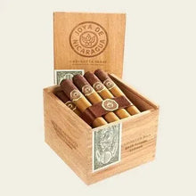 Load image into Gallery viewer, Joya de Nicaragua Cabinetta Robusto - Bosstyles Boston's Cigar ShopJoya de Nicaragua Cabinetta Robusto
