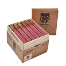 Asylum 13 Authentic Corojo Robusto Full Flavored Cigars Boston's Cigar Shop