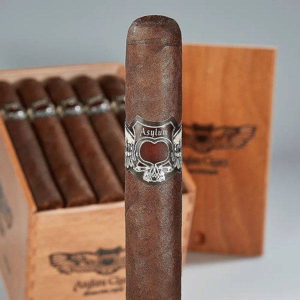 Asylum Sixty-Seven Gordo Premium Honduran