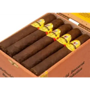 Baccarat Double Maduro Double Corona sweet flavored cigar with dark wrapper and band, displayed on a wooden surface.