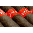Full flavored Bahia Maduro Corona Gigante cigar from Boston's Cigar Shop, showcasing the dark, rich Maduro wrapper.