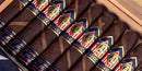 CAO America 250th Robusto BP medium flavored cigar from Boston's Cigar Shop, showcasing a smooth, hand-rolled cigar.
