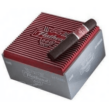 Load image into Gallery viewer, CAO Flathead V660 Carb Gordo - Bosstyles Boston's Cigar ShopCAO Flathead V660 Carb Gordo
