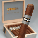 Cohiba Nicaragua N5.2x54 Robusto Full Flavored Cigars Boston's Cigar Shop
