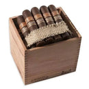 Full-flavored Diesel Shorty Gordo cigars from Boston's Cigar Shop, showcasing the rich, dark wrapper and premium cigar band.