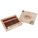 Dunbarton Red Meat Lovers Gordo Porterhouse Full Flavored Cigars Boston's Cigar Shop