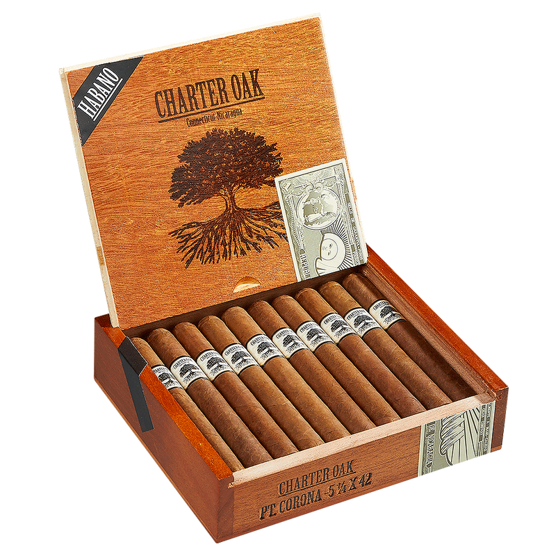 Foundation Charter Oak Habano Grande Gordo Medium Flavored Cigars Boston's Cigar Shop