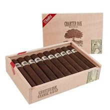 Load image into Gallery viewer, Foundation Charter Oak Maduro Grande Gordo medium-flavored cigars, dark Maduro cigar with detailed band and textured wrapper.
