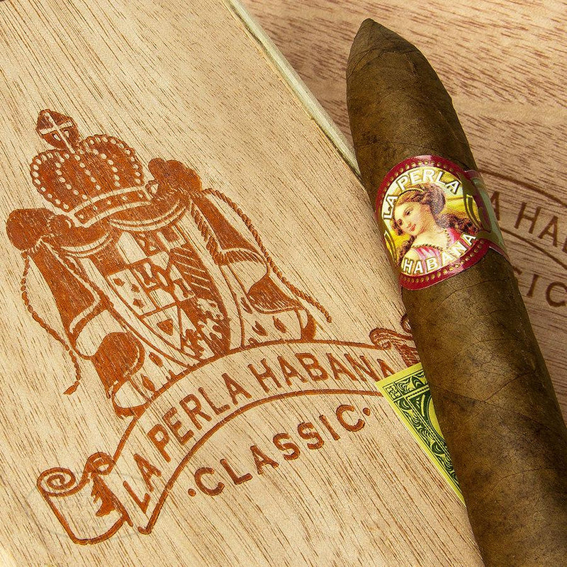 La Perla Habana Classic Belicoso Medium Flavored Cigars Boston's Cigar Shop