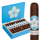 Room 101 Farce Nicaragua Gordo Medium Flavored Cigars Boston's Cigar Shop