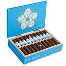 Room 101 Farce Nicaragua Robusto Medium Flavored Cigars Boston's Cigar Shop