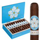 Room 101 Farce Nicaragua Robusto Medium Flavored Cigars Boston's Cigar Shop