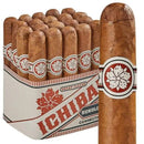 Room 101 Ichiban Connecticut Robusto - Bosstyles Boston's Cigar ShopRoom 101 Ichiban Connecticut Robusto
