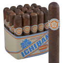 Medium flavored Room101 Ichiban Maduro Robusto cigar with dark, oily wrapper, perfect for cigar enthusiasts.
