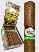 Tatiana Flavored Sweet Euphoria Classic Corona Sweet Flavored Cigar Boston's Cigar Shop