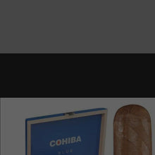 Load and play video in Gallery viewer, My Promo video
