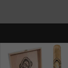 Load and play video in Gallery viewer, My Promo video

