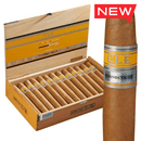 CLE Connecticut 550 Robusto Medium Flavored Cigars Boston's Cigar Shop