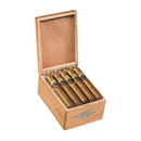 Dolce Vita Exotic Robusto Gordo Sweet Flavored Cigar Boston's Cigar Shop