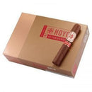 Hoyo de Monterrey La Amistad Gold Gigante Full Flavored Cigars Boston's Cigar Shop