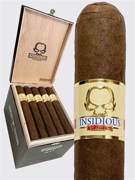Insidious Asylum Maduro 764 Gordo Sweet Flavored Cigar Boston's Cigar Shop