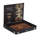 Plasencia 1865 Alma Fuerte Sixto II Haxagon Gordo Medium Flavored Cigars Boston's Cigar Shop