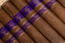 Rocky Patel Royal Vintage Churchill Coffee Infused Boston's Cigar Shop