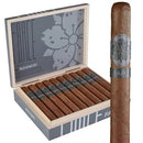 Room 101 FARCE. Gordo Medium Flavored Cigars Boston's Cigar Shop