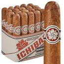 Medium flavored Room 101 Ichiban Connecticut Robusto cigar displayed in a box, showcasing its smooth, light-colored wrapper.